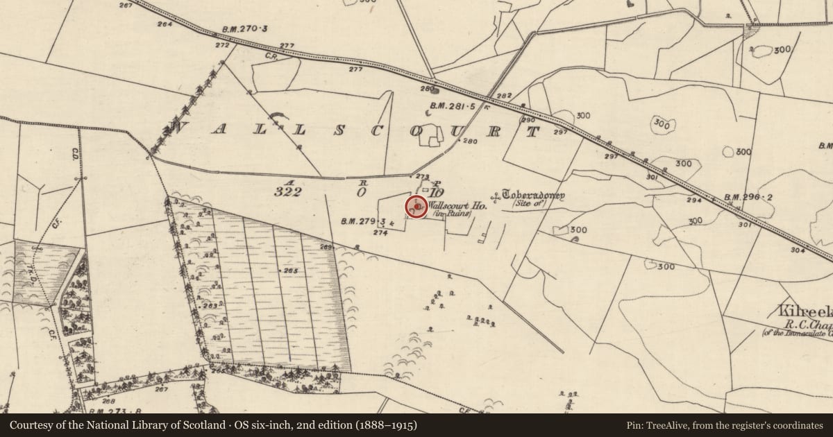 Ordnance Survey six-inch map, 2nd edition (1888–1915) covering the location of House - fortified house, Wallscourt, County Galway, with a pin at the register's coordinates
