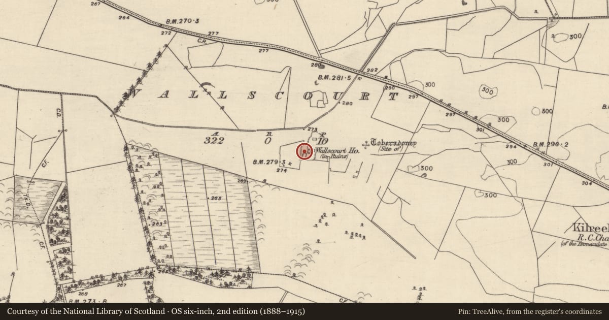 Ordnance Survey six-inch map, 2nd edition (1888–1915) covering the location of Castle - unclassified, Wallscourt, County Galway, with a pin at the register's coordinates
