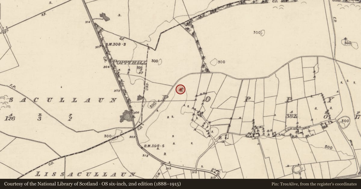 Ordnance Survey six-inch map, 2nd edition (1888–1915) covering the location of Earthwork, Poppyhill, County Galway, with a pin at the register's coordinates