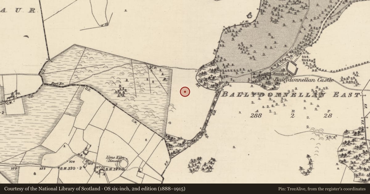 Ordnance Survey six-inch map, 2nd edition (1888–1915) covering the location of Burial, Ballydonnellan West, County Galway, with a pin at the register's coordinates