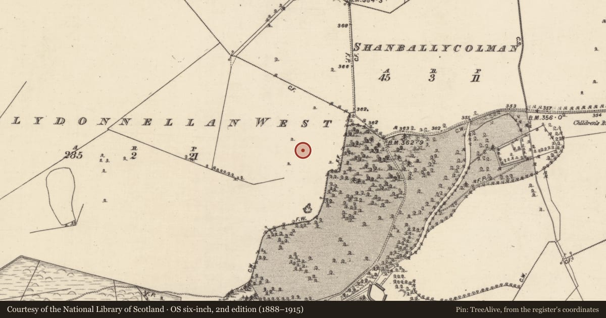 Ordnance Survey six-inch map, 2nd edition (1888–1915) covering the location of Ringfort - rath, Ballydonnellan West, County Galway, with a pin at the register's coordinates