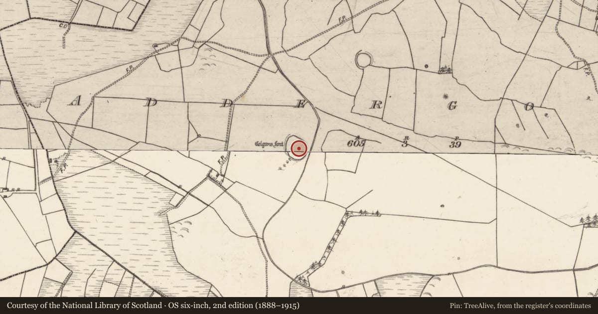 Ordnance Survey six-inch map, 2nd edition (1888–1915) covering the location of Ringfort - rath, Addergoole, County Galway, with a pin at the register's coordinates