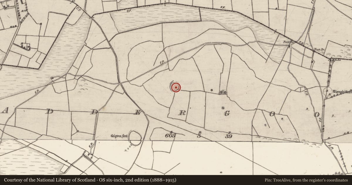 Ordnance Survey six-inch map, 2nd edition (1888–1915) covering the location of Ringfort - rath, Addergoole, County Galway, with a pin at the register's coordinates