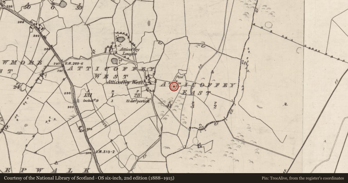 Ordnance Survey six-inch map, 2nd edition (1888–1915) covering the location of Ringfort - unclassified, Atticoffey East, County Galway, with a pin at the register's coordinates