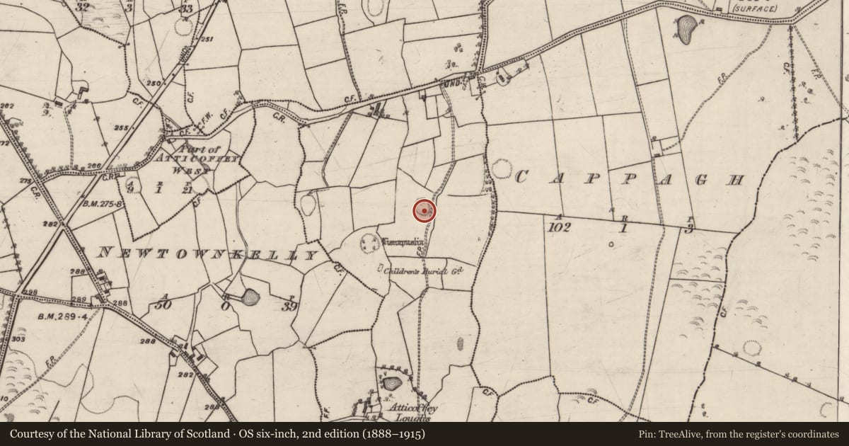 Ordnance Survey six-inch map, 2nd edition (1888–1915) covering the location of Ringfort - unclassified, Atticoffey West, County Galway, with a pin at the register's coordinates