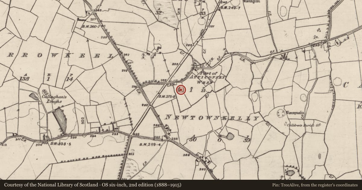 Ordnance Survey six-inch map, 2nd edition (1888–1915) covering the location of Ringfort - rath, Atticoffey West, County Galway, with a pin at the register's coordinates