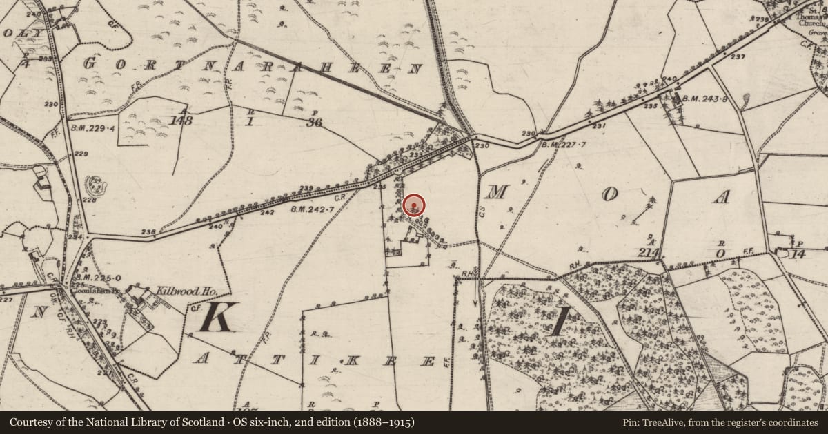 Ordnance Survey six-inch map, 2nd edition (1888–1915) covering the location of House - 18th/19th century, Attikee, County Galway, with a pin at the register's coordinates