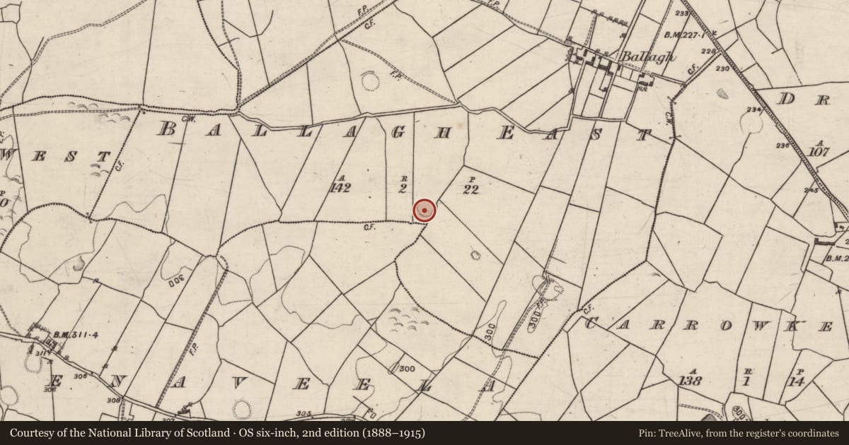 Ordnance Survey six-inch map, 2nd edition (1888–1915) covering the location of Ringfort - rath, Ballagh East, County Galway, with a pin at the register's coordinates
