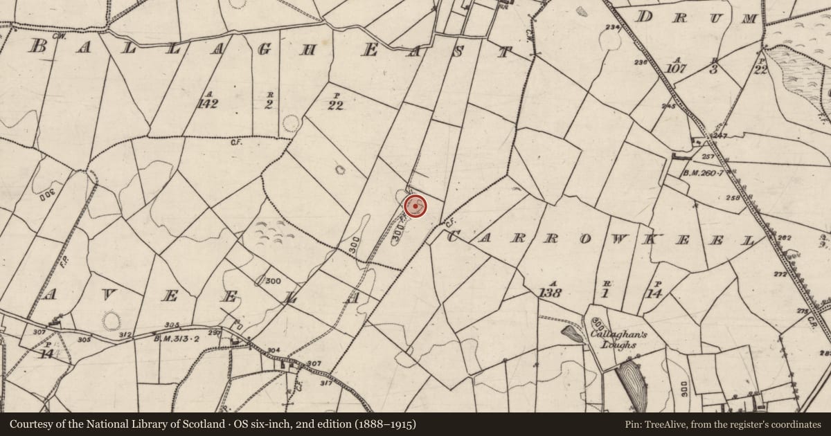 Ordnance Survey six-inch map, 2nd edition (1888–1915) covering the location of Ringfort - unclassified, Ballagh East, County Galway, with a pin at the register's coordinates