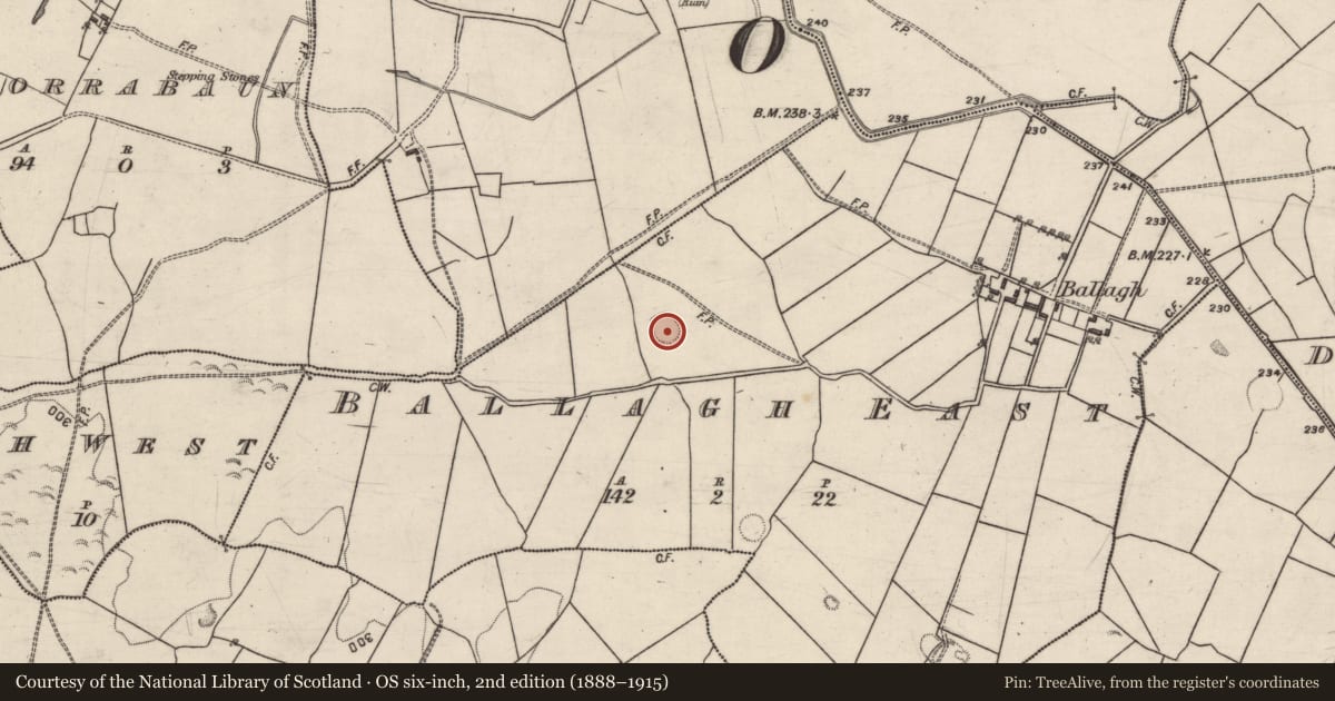 Ordnance Survey six-inch map, 2nd edition (1888–1915) covering the location of Ringfort - rath, Ballagh East, County Galway, with a pin at the register's coordinates