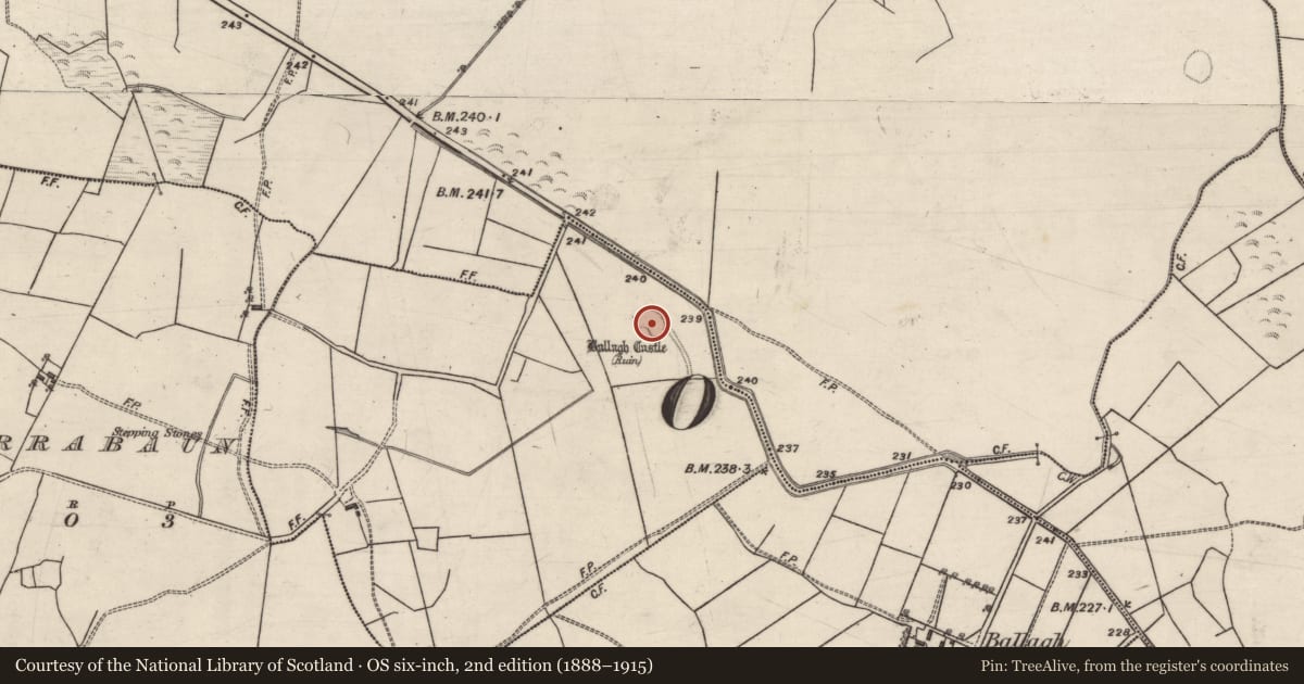Ordnance Survey six-inch map, 2nd edition (1888–1915) covering the location of Bawn, Ballagh West, County Galway, with a pin at the register's coordinates