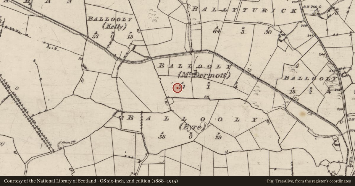 Ordnance Survey six-inch map, 2nd edition (1888–1915) covering the location of Ringfort - rath, Ballooly (Eyre), County Galway, with a pin at the register's coordinates
