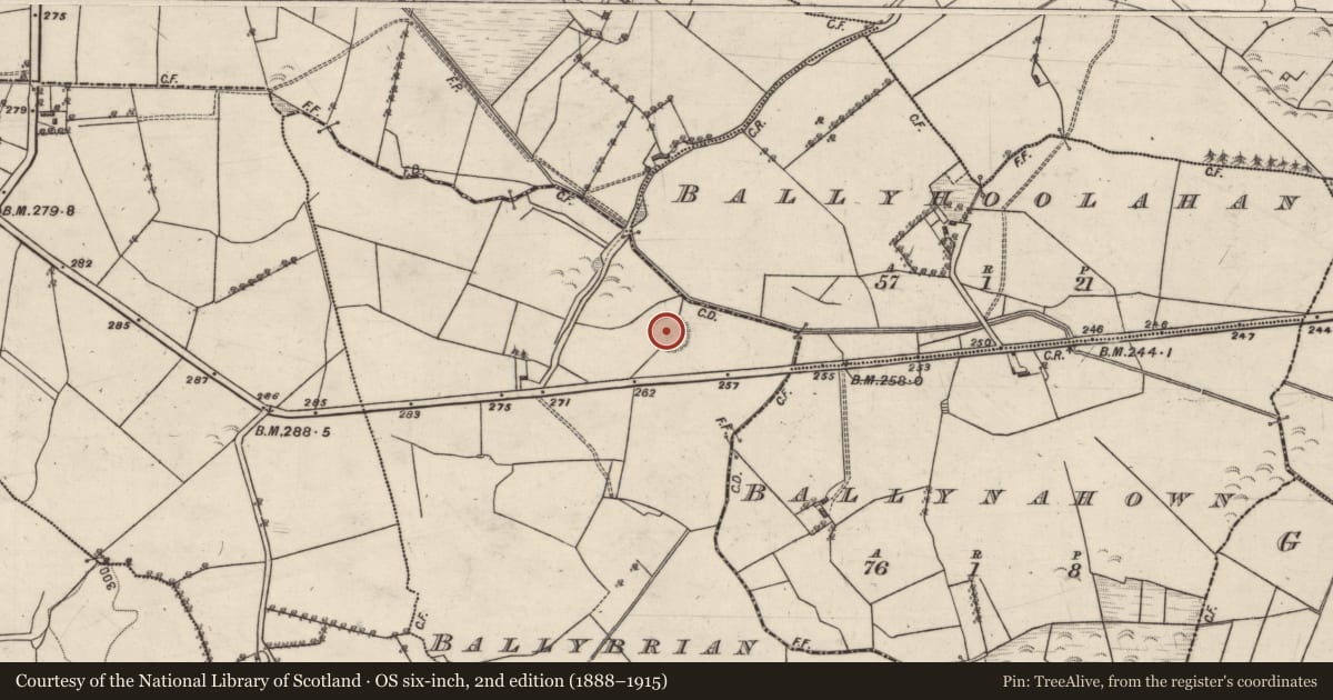 Ordnance Survey six-inch map, 2nd edition (1888–1915) covering the location of Ringfort - rath, Ballybrian, County Galway, with a pin at the register's coordinates