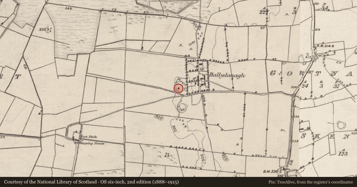 Ordnance Survey six-inch map, 2nd edition (1888–1915) covering the location of Ringfort - rath, Ballydonagh, County Galway, with a pin at the register's coordinates