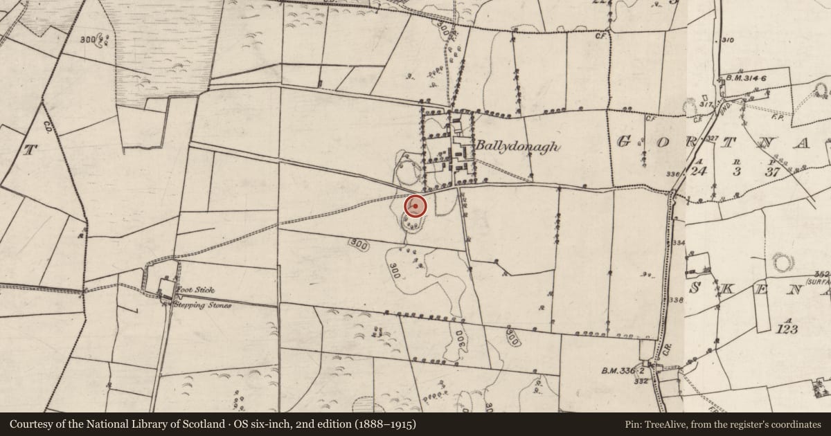 Ordnance Survey six-inch map, 2nd edition (1888–1915) covering the location of Ringfort - rath, Ballydonagh, County Galway, with a pin at the register's coordinates