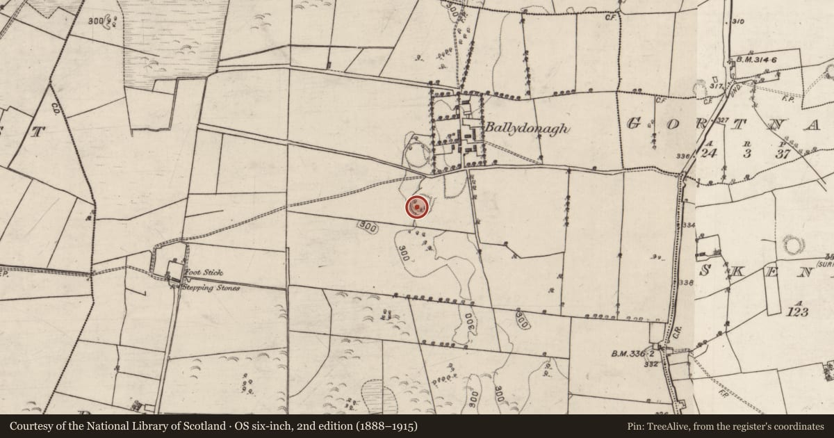 Ordnance Survey six-inch map, 2nd edition (1888–1915) covering the location of Ringfort - rath, Ballydonagh, County Galway, with a pin at the register's coordinates