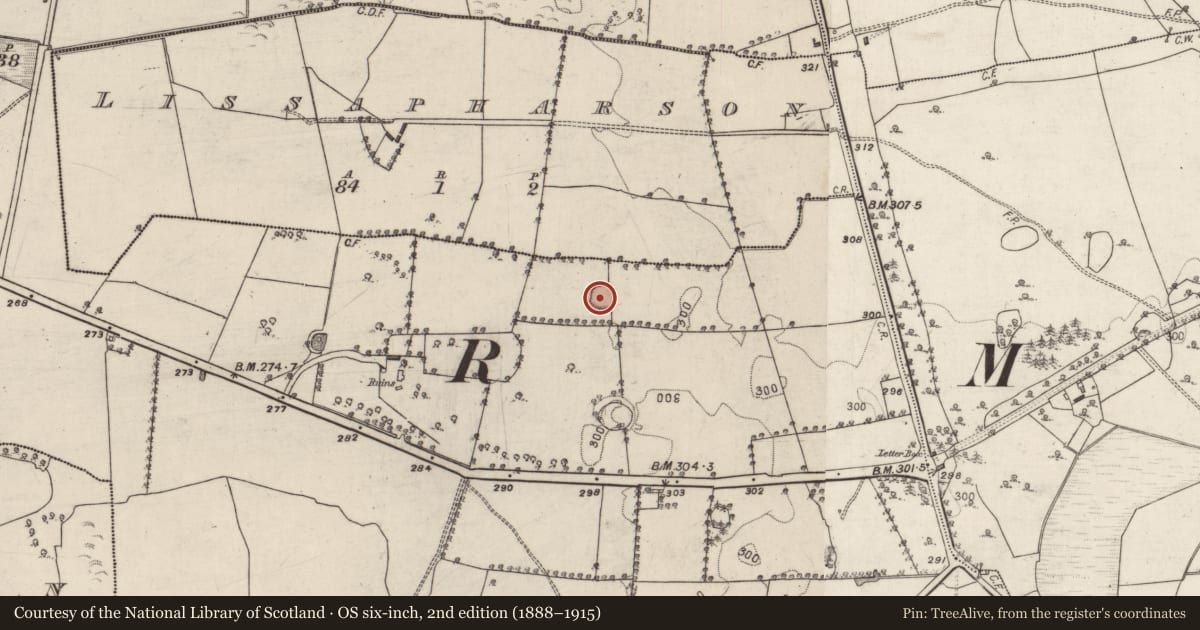 Ordnance Survey six-inch map, 2nd edition (1888–1915) covering the location of Ringfort - rath, Ballydonagh, County Galway, with a pin at the register's coordinates