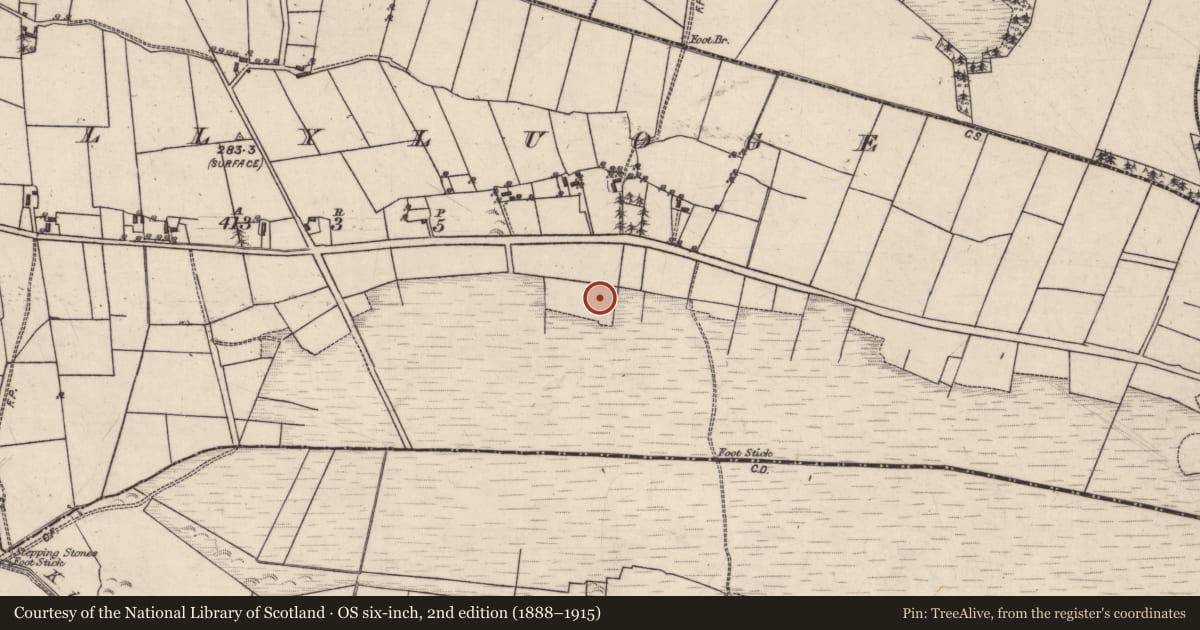 Ordnance Survey six-inch map, 2nd edition (1888–1915) covering the location of Monumental structure, Ballyluoge, County Galway, with a pin at the register's coordinates
