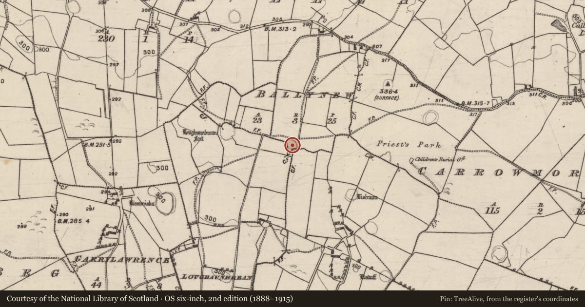 Ordnance Survey six-inch map, 2nd edition (1888–1915) covering the location of Ringfort - rath, Ballynew, Taylorstown, County Galway, with a pin at the register's coordinates