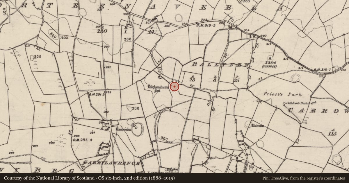 Ordnance Survey six-inch map, 2nd edition (1888–1915) covering the location of Ringfort - rath, Ballynew, Loughaunbrean, County Galway, with a pin at the register's coordinates
