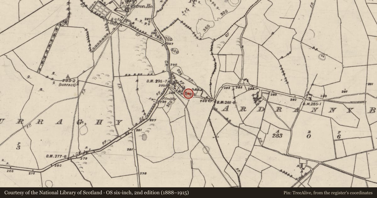 Ordnance Survey six-inch map, 2nd edition (1888–1915) covering the location of Ringfort - rath, Ballyterrim, Cartron, County Galway, with a pin at the register's coordinates