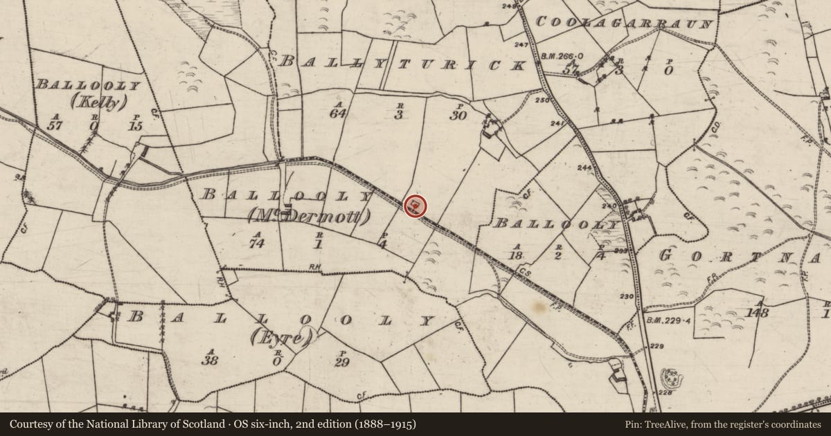 Ordnance Survey six-inch map, 2nd edition (1888–1915) covering the location of Quarry, Ballyturick, County Galway, with a pin at the register's coordinates