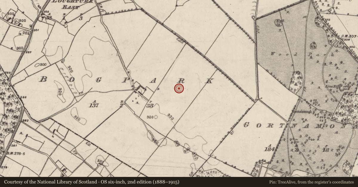 Ordnance Survey six-inch map, 2nd edition (1888–1915) covering the location of Ringfort - unclassified, Bogpark, County Galway, with a pin at the register's coordinates