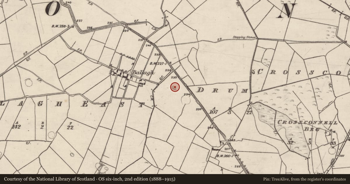 Ordnance Survey six-inch map, 2nd edition (1888–1915) covering the location of Quarry, Carrowkeel, County Galway, with a pin at the register's coordinates