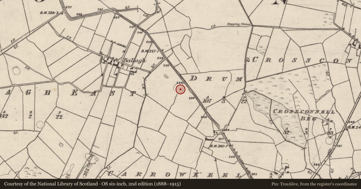 Ordnance Survey six-inch map, 2nd edition (1888–1915) covering the location of Ringfort - rath, Carrowkeel, County Galway, with a pin at the register's coordinates