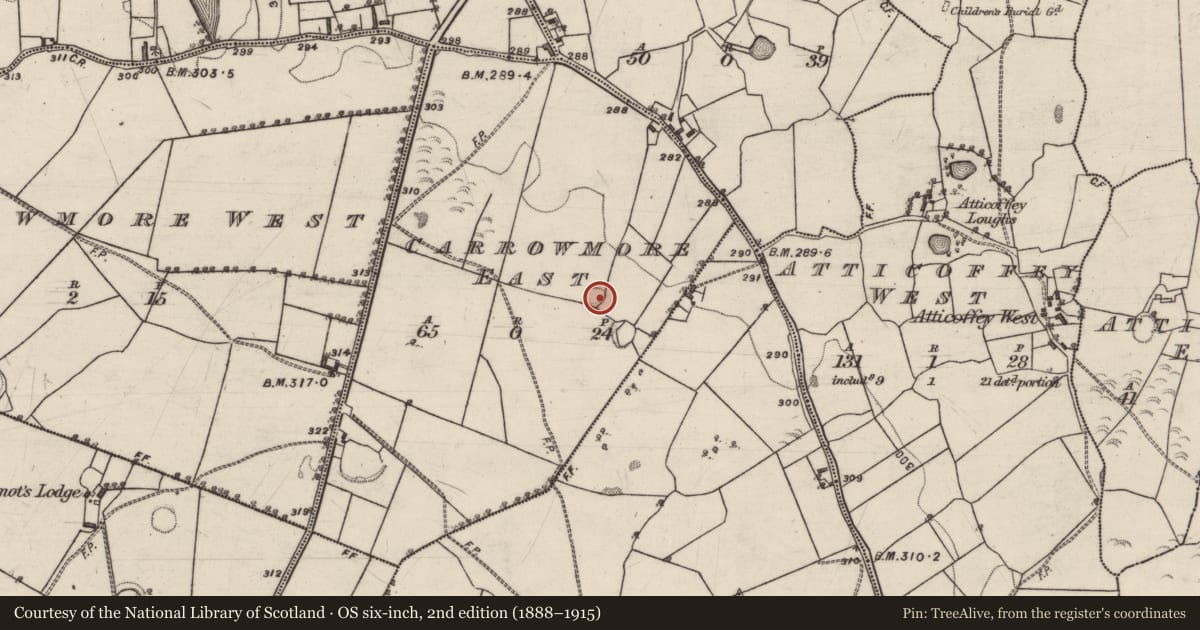 Ordnance Survey six-inch map, 2nd edition (1888–1915) covering the location of Ringfort - rath, Carrowmore East, County Galway, with a pin at the register's coordinates