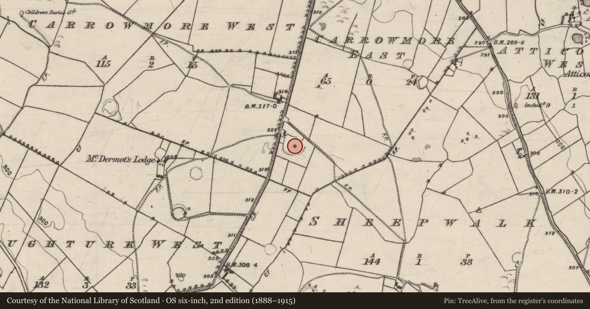 Ordnance Survey six-inch map, 2nd edition (1888–1915) covering the location of Ringfort - rath, Carrowmore East, County Galway, with a pin at the register's coordinates