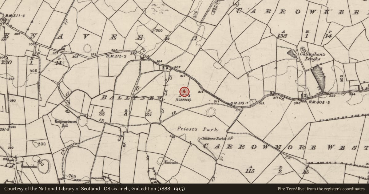 Ordnance Survey six-inch map, 2nd edition (1888–1915) covering the location of Ringfort - rath, Carrowmore West, County Galway, with a pin at the register's coordinates