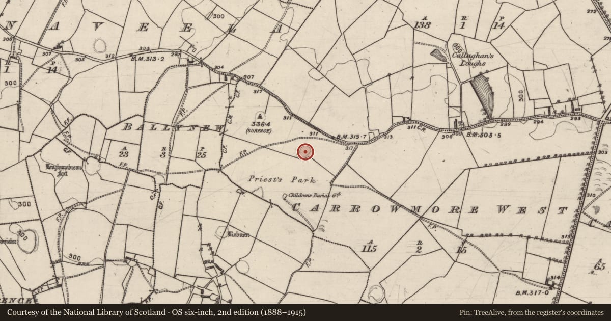 Ordnance Survey six-inch map, 2nd edition (1888–1915) covering the location of Ringfort - rath, Carrowmore West, County Galway, with a pin at the register's coordinates