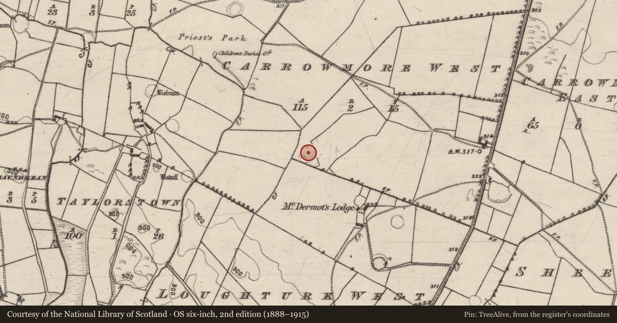 Ordnance Survey six-inch map, 2nd edition (1888–1915) covering the location of Ringfort - rath, Carrowmore West, County Galway, with a pin at the register's coordinates