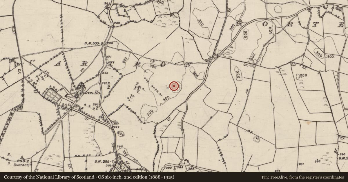 Ordnance Survey six-inch map, 2nd edition (1888–1915) covering the location of Souterrain, Cartron, County Galway, with a pin at the register's coordinates
