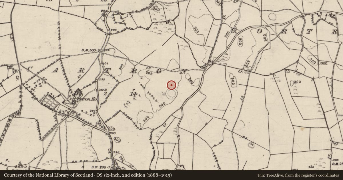 Ordnance Survey six-inch map, 2nd edition (1888–1915) covering the location of Enclosure, Cartron, County Galway, with a pin at the register's coordinates