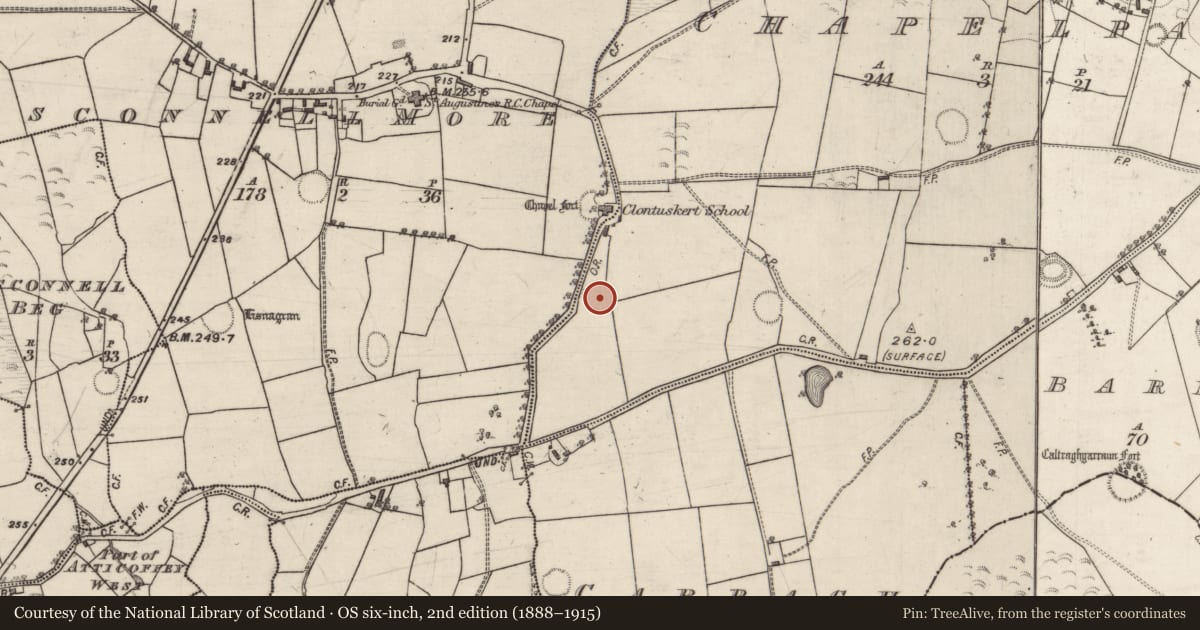Ordnance Survey six-inch map, 2nd edition (1888–1915) covering the location of Ringfort - rath, Chapelpark, County Galway, with a pin at the register's coordinates