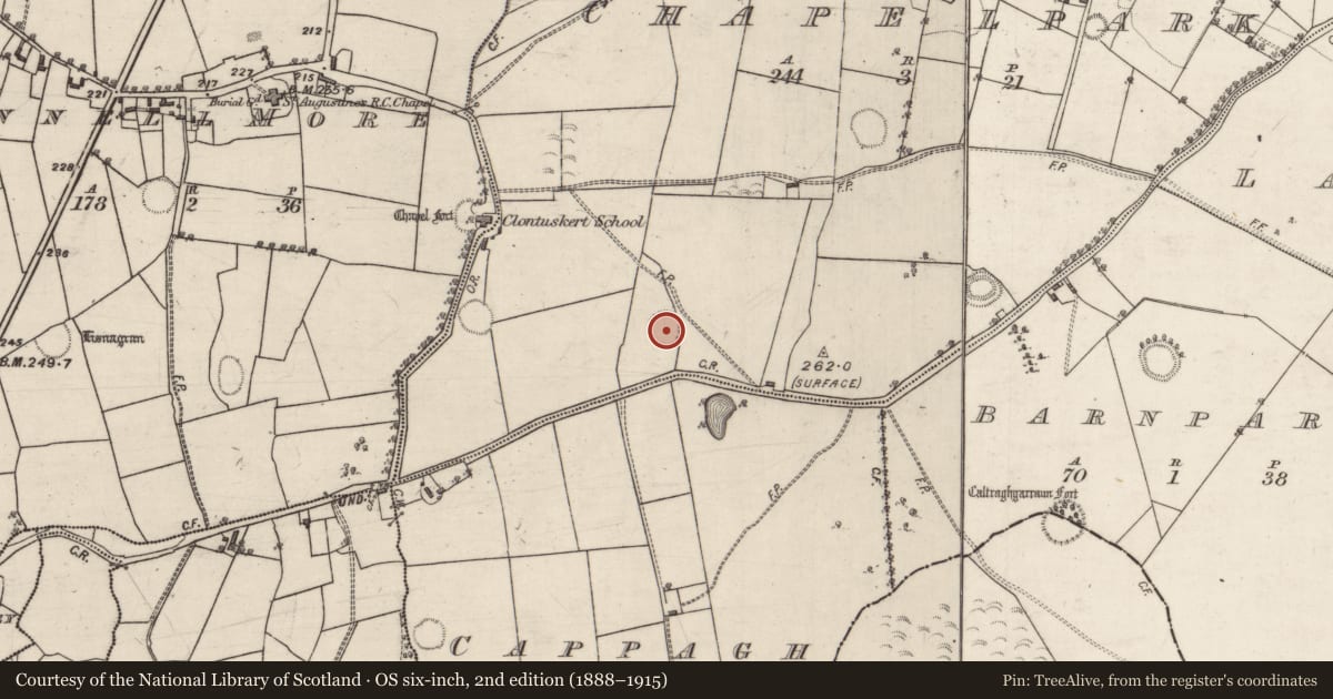 Ordnance Survey six-inch map, 2nd edition (1888–1915) covering the location of Ringfort - rath, Chapelpark, County Galway, with a pin at the register's coordinates