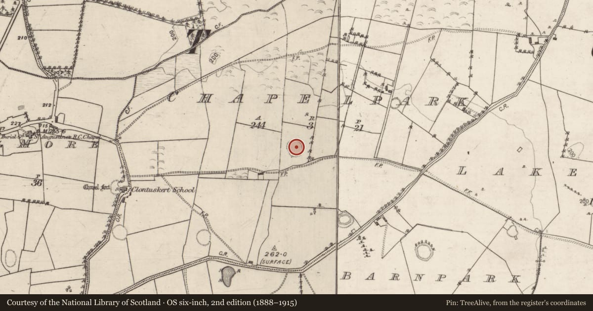 Ordnance Survey six-inch map, 2nd edition (1888–1915) covering the location of Ringfort - rath, Chapelpark, County Galway, with a pin at the register's coordinates