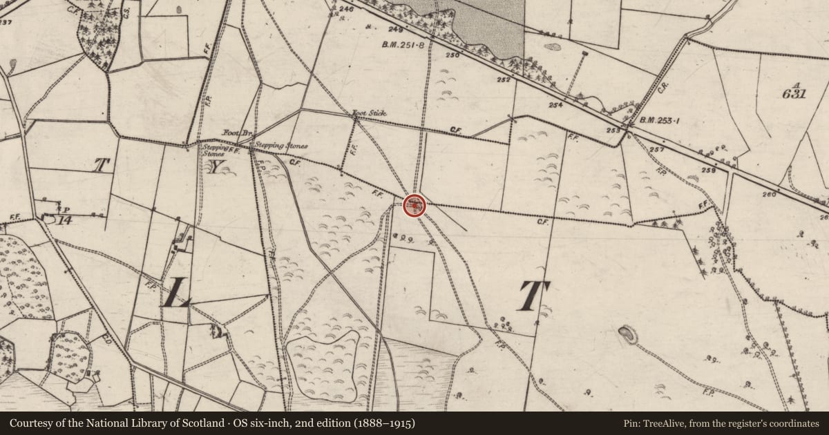 Ordnance Survey six-inch map, 2nd edition (1888–1915) covering the location of House - 18th/19th century, Cloonineen, County Galway, with a pin at the register's coordinates