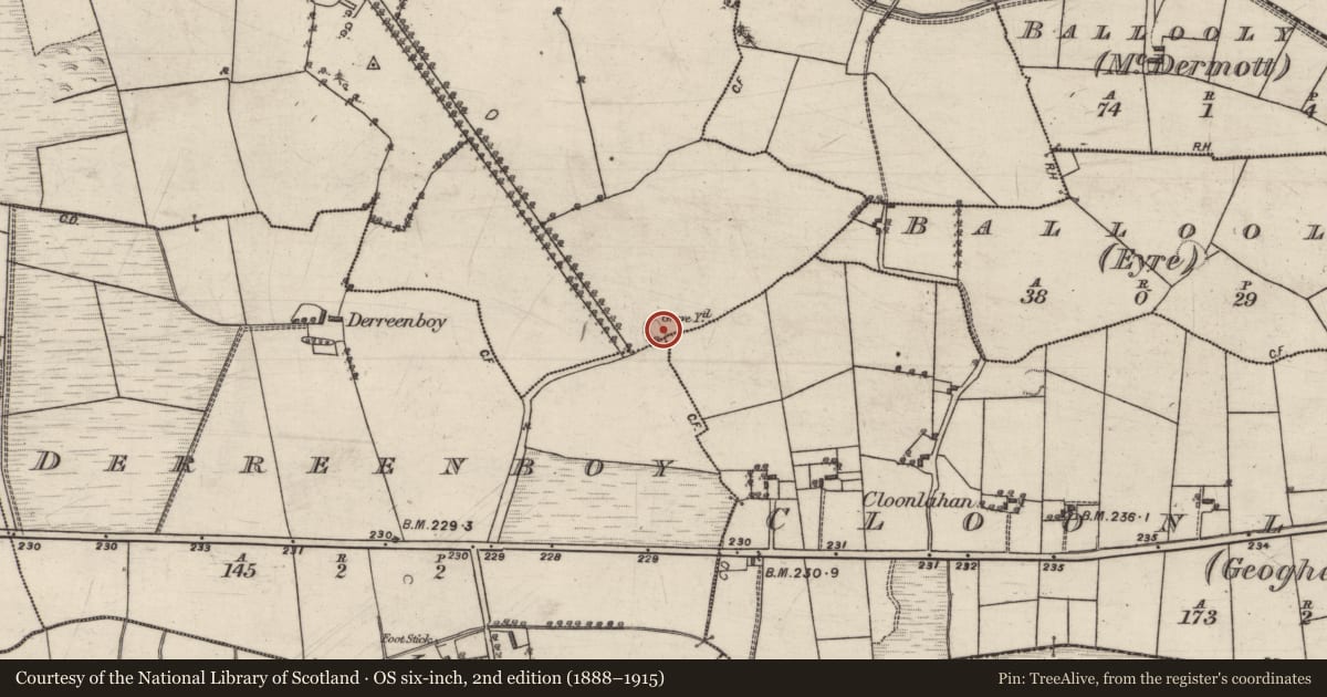Ordnance Survey six-inch map, 2nd edition (1888–1915) covering the location of Ringfort - rath, County Galway, with a pin at the register's coordinates