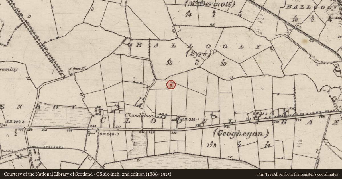 Ordnance Survey six-inch map, 2nd edition (1888–1915) covering the location of Ringfort - rath, Cloonlahan (Geoghegan), County Galway, with a pin at the register's coordinates