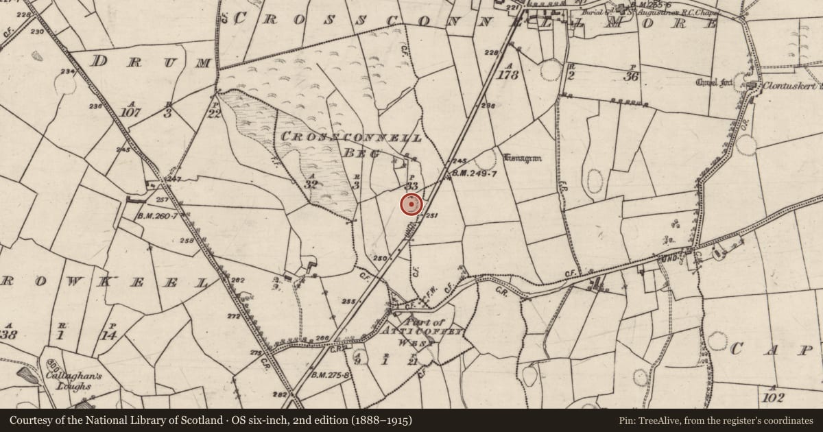 Ordnance Survey six-inch map, 2nd edition (1888–1915) covering the location of Ringfort - rath, Crossconnell Beg, County Galway, with a pin at the register's coordinates