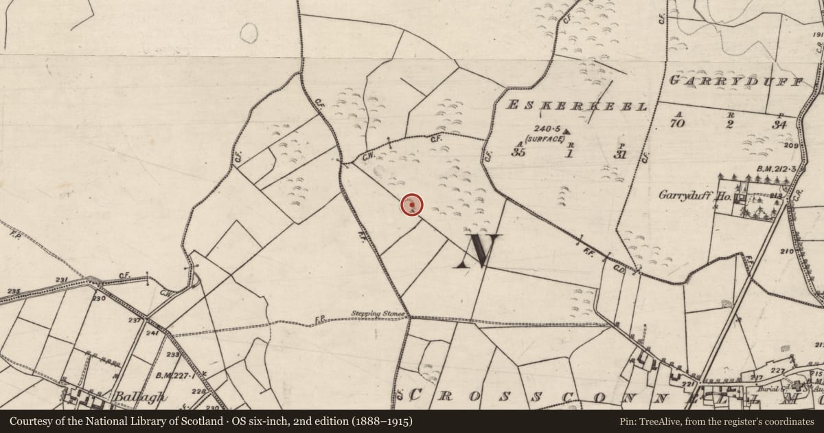 Ordnance Survey six-inch map, 2nd edition (1888–1915) covering the location of Ringfort - unclassified, Crossconnell More, County Galway, with a pin at the register's coordinates