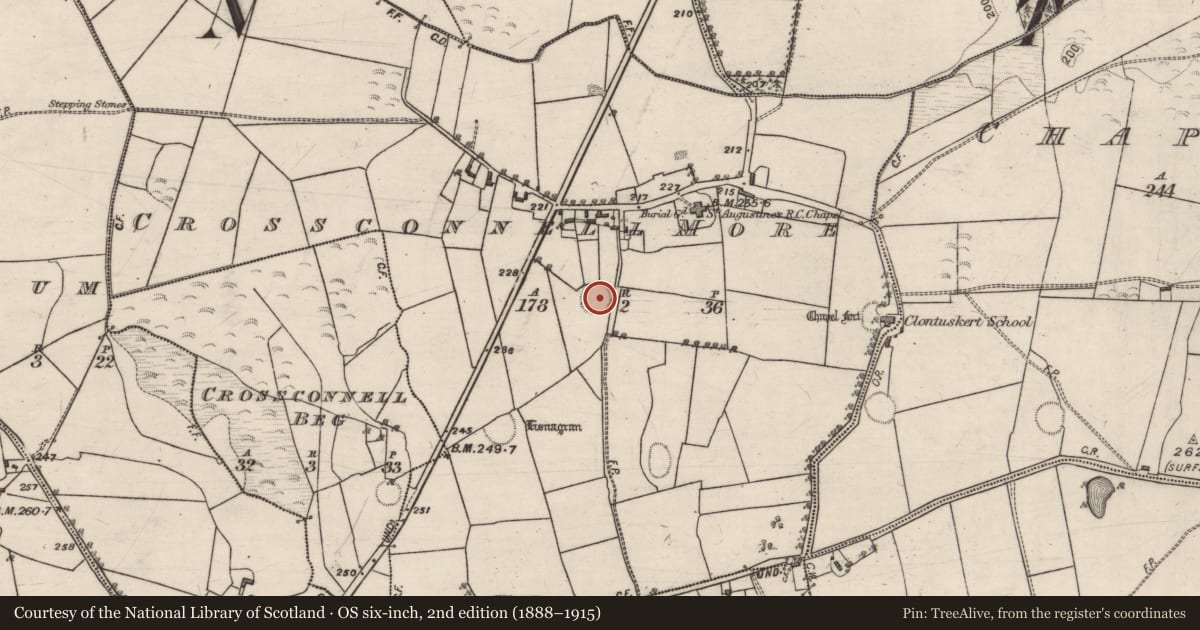 Ordnance Survey six-inch map, 2nd edition (1888–1915) covering the location of Ringfort - rath, Crossconnell More, County Galway, with a pin at the register's coordinates
