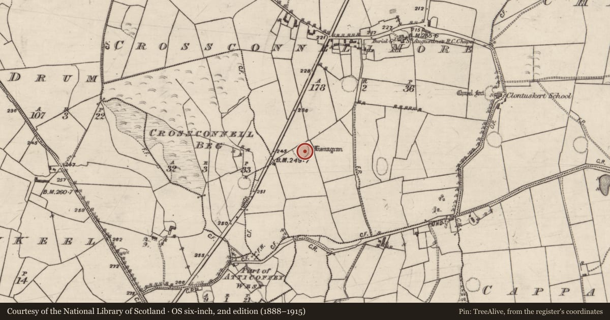 Ordnance Survey six-inch map, 2nd edition (1888–1915) covering the location of Ringfort - rath, Crossconnell More, County Galway, with a pin at the register's coordinates