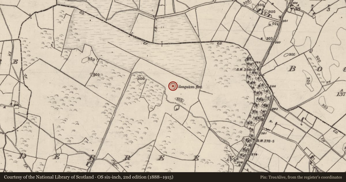 Ordnance Survey six-inch map, 2nd edition (1888–1915) covering the location of Ringfort - rath, Derreen, County Galway, with a pin at the register's coordinates