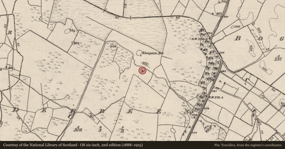 Ordnance Survey six-inch map, 2nd edition (1888–1915) covering the location of Ringfort - rath, Derreen, County Galway, with a pin at the register's coordinates