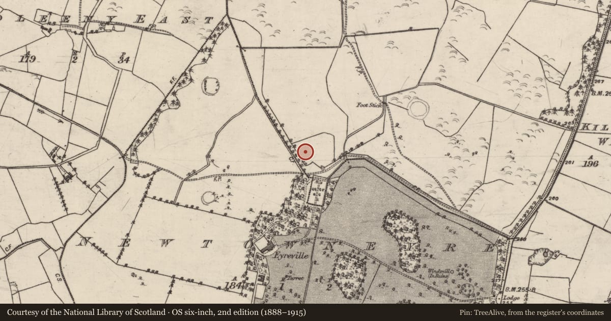 Ordnance Survey six-inch map, 2nd edition (1888–1915) covering the location of Kiln, Derreen, County Galway, with a pin at the register's coordinates