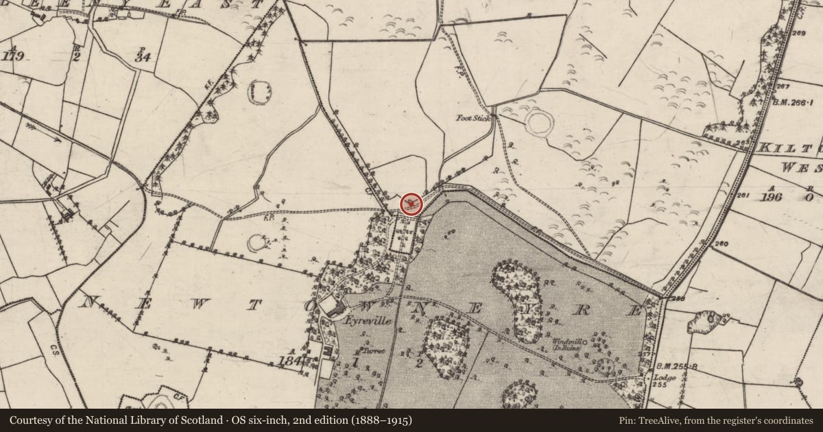 Ordnance Survey six-inch map, 2nd edition (1888–1915) covering the location of Mill - corn, Derreen, County Galway, with a pin at the register's coordinates
